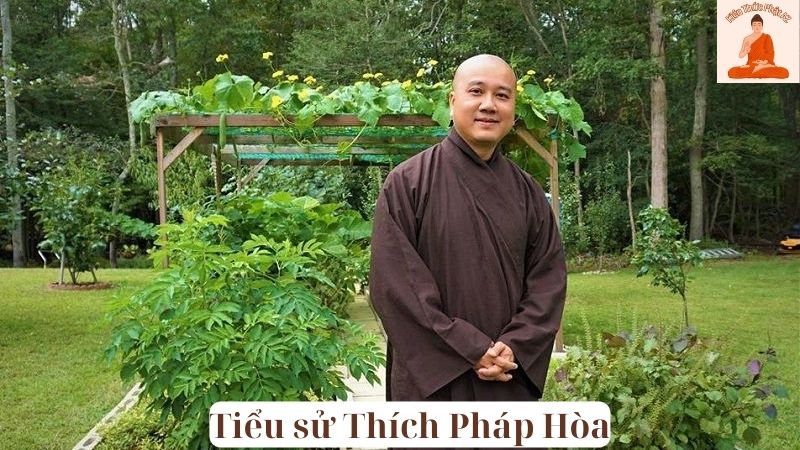 Tiểu sử Thích Pháp Hòa